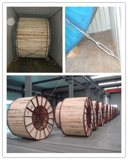 Aluminum Clad Steel Wire (acs) to IEC /ASTM /DIN Standard