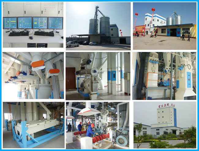 Bag Typed Pulse Dust Filter Made in China