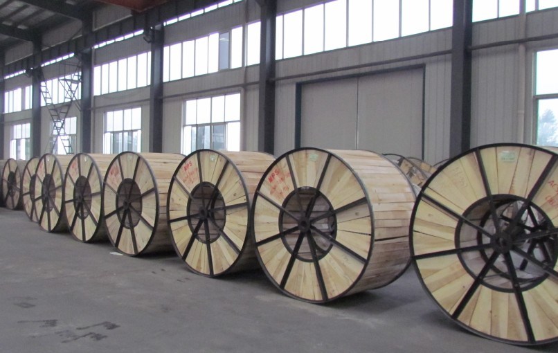 Bare Aluminum Conductor Steel Reinforced Overhead ACSR Used as Overhead Transmission