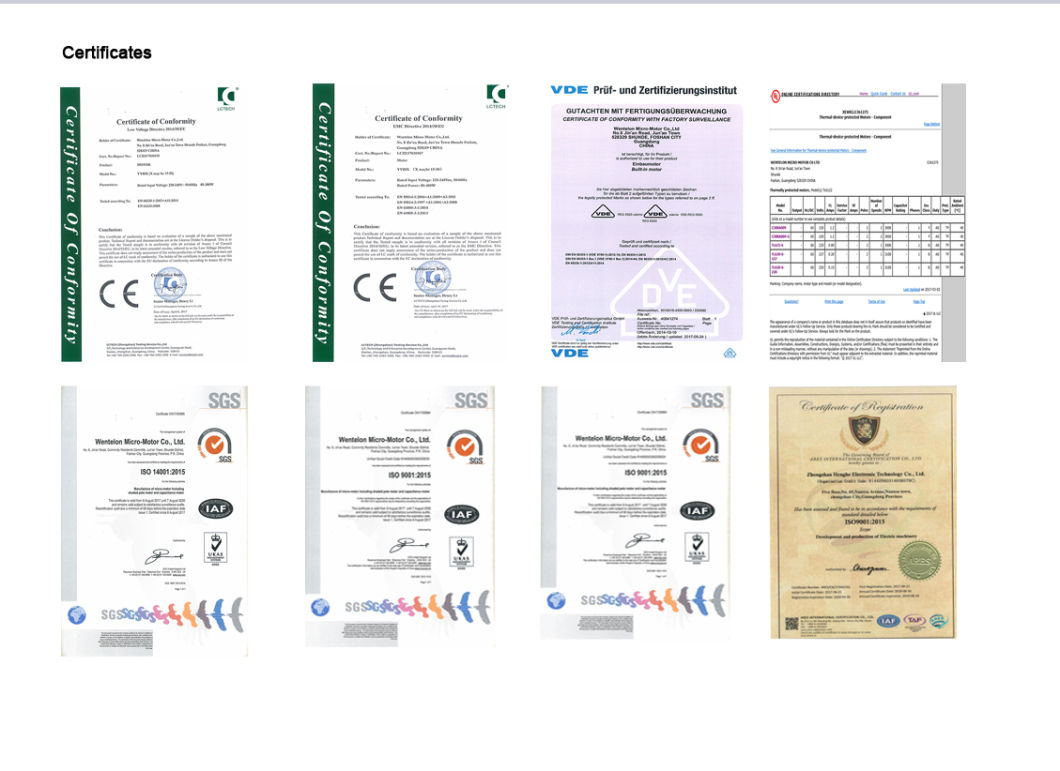 Ce Certificate High Torque Electrical DC Motor for Evaporator Motor