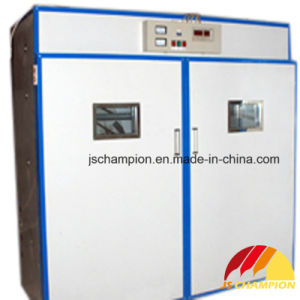 Efficient Poultry Eggs Incubator (4576 Chicken Eggs)