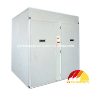 Efficient Poultry Eggs Incubator (9856 Chicken Eggs)