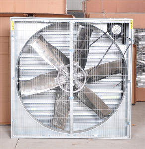 Faithful Quality Weight Balance Hammer Fan