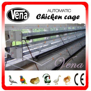 Poultry Cage for Layer pictures & photos