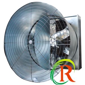Propeller Axial Exhaust Fan with SGS Certification for Industry.