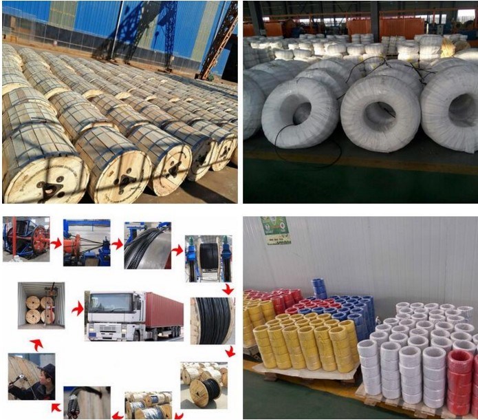 Soild/Stranded/Flexible Copper Conductor PVC Insulated Power Cable Electric Wire pictures & photos