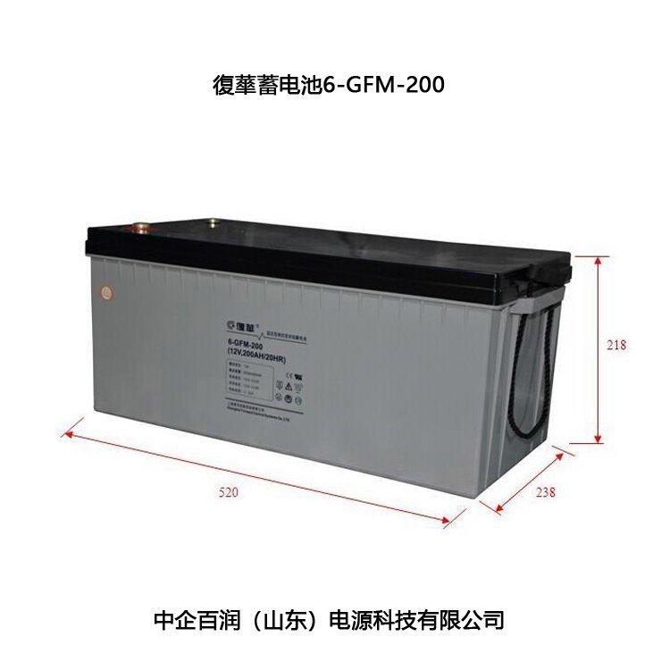 復華移动基站专用蓄电池6-GFM-200 12V200AH/20HR标准结构