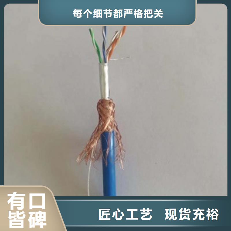 6X1.0mm铁路信号电缆WDZR-PTYL23 