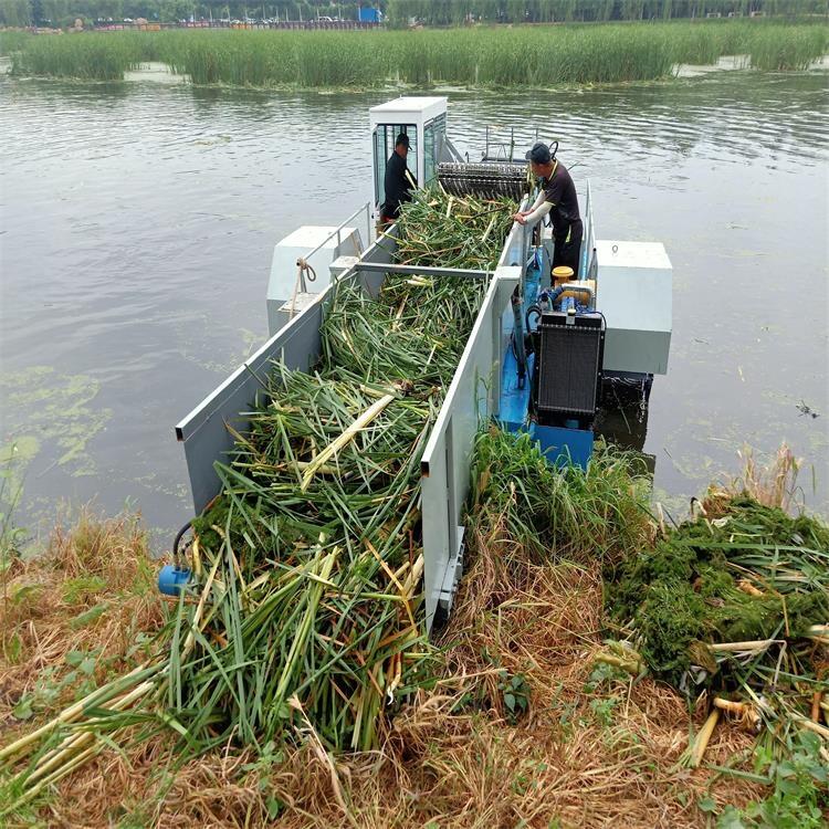 全自动水葫芦打捞船  水浮莲打捞船 水草收割船  大型双链垃圾清理船 湖面垃圾清理船