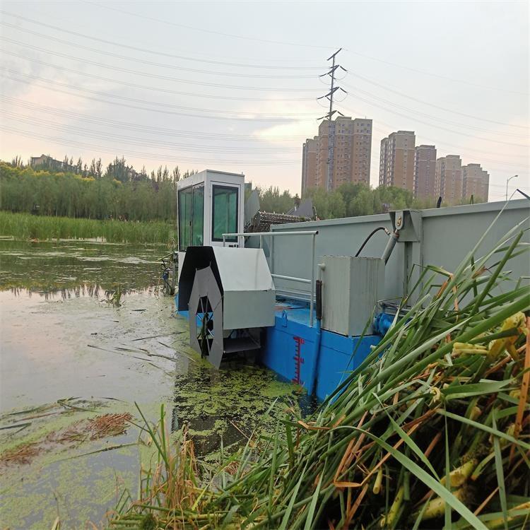 锄草船 水葫芦打捞船 圣城大型双链垃圾清理船 湖面割草船 订制黑草清理船 湖面割草船