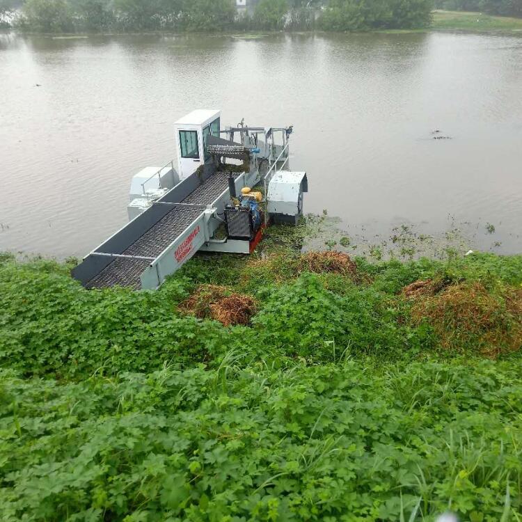 晟河水葫芦打捞船生厂制造厂家  浅滩水域水草收割机械