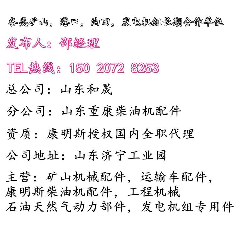 上海康明斯分公司6B同款燃油泵C5260335