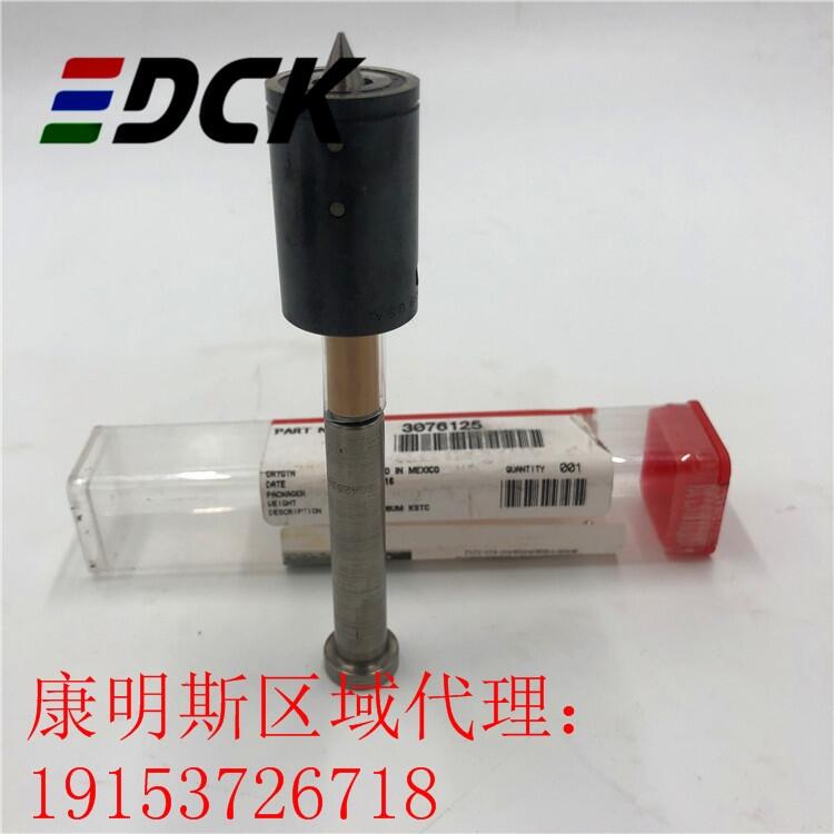 山东康明斯QSK19喷油器	4955524/F00BL0J020