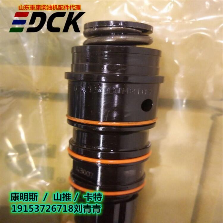 CumminsNT855发动机喷油器3047991 NT855保养件