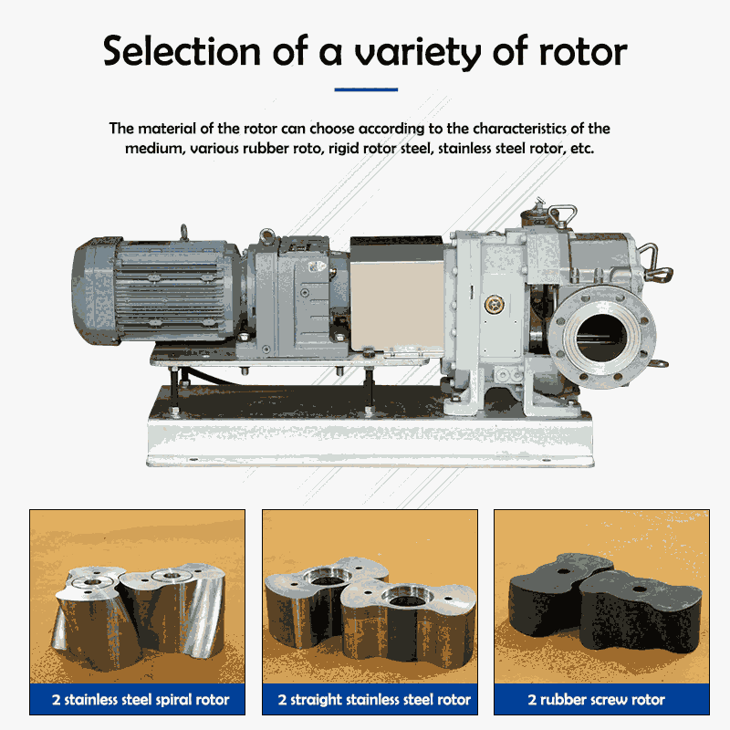 QinPing-QP120M SS lobe pump- double end seal with common motor pictures & photos