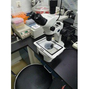 PM310压力校验仪GTT玻璃韧化专用测温仪绝缘监测仪电机数控保护器