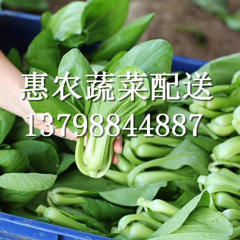 厦门批发新鲜蔬菜水果6大米