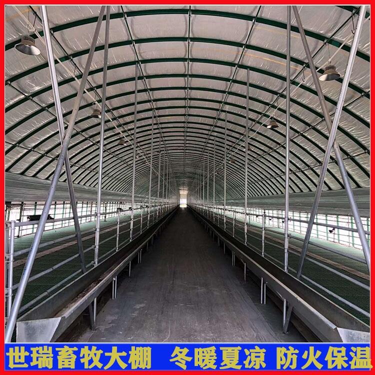 养羊场羊舍大棚施工设计 肉羊养殖大棚搭建 养羊棚安装建造