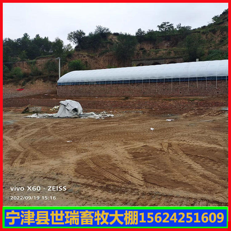 养羊大棚施工建造 羊舍大棚搭建 山羊养殖大棚安装厂家