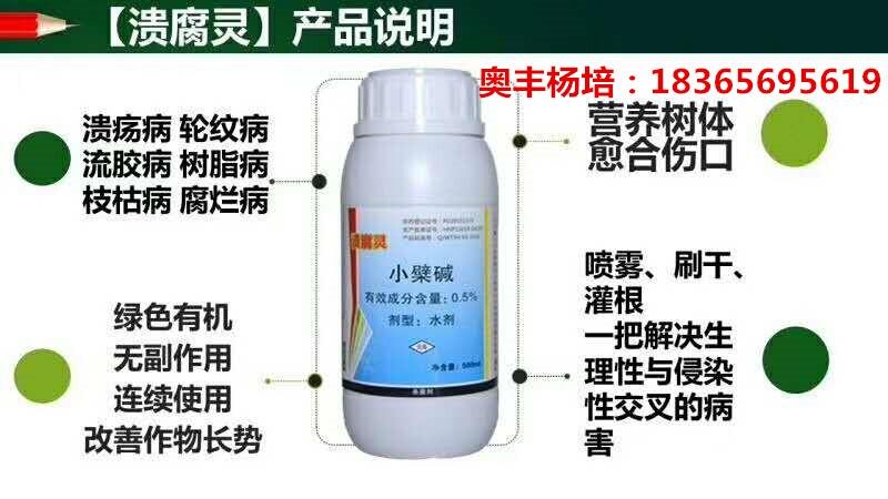 倒春寒来临 猕猴桃预防溃疡病用什么药效果好 小檗碱溃腐灵500ml水剂