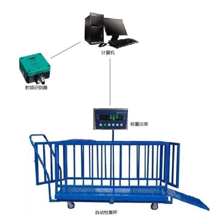 自动牲畜秤