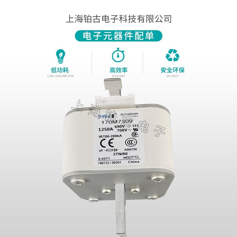 美国巴斯曼170M7309快速熔断器