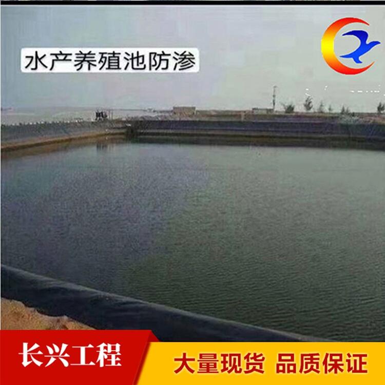 河道治理1.0mmHDPE土工膜 全国发货质量保证