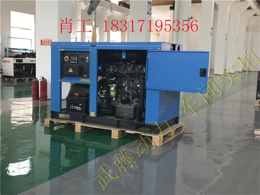 12KW15kw箱式便携式汽油发电机进口德国