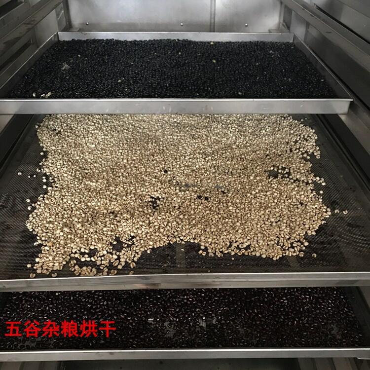 常州市天泽牌豇豆烘干机 不锈钢恒温电加热烘干箱