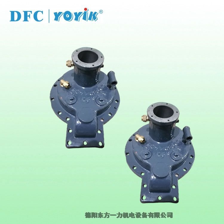 China made vacuum pump screw P-2412 for power station