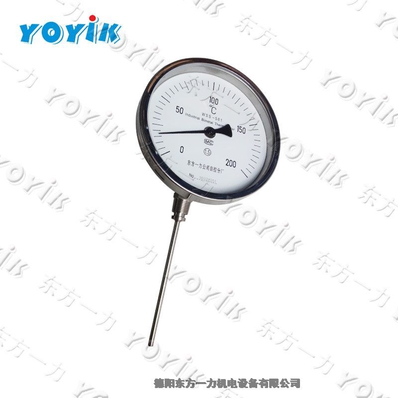 China manufacturer Bimetallic thermometer WSS-481 for power generation