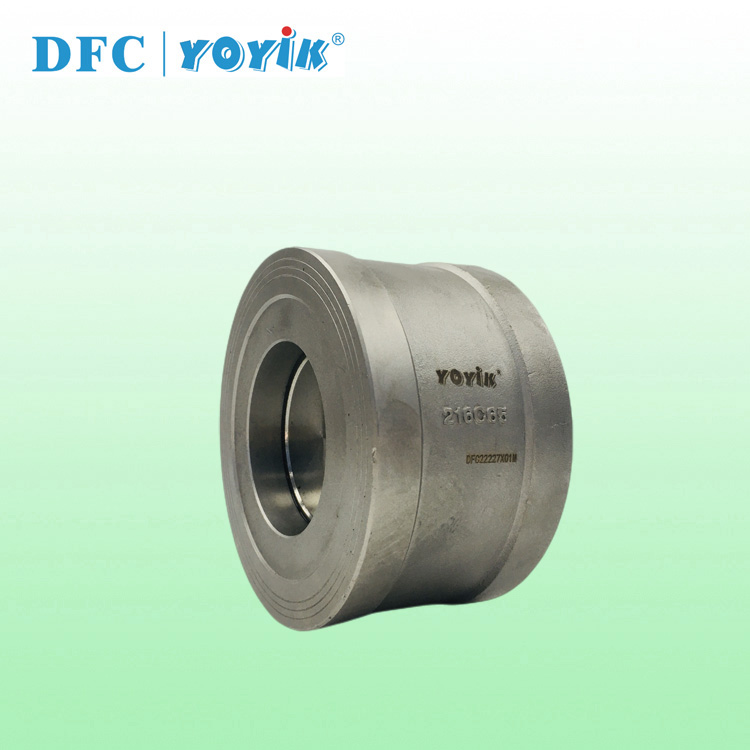 China made check valve types 216C65  for power plant