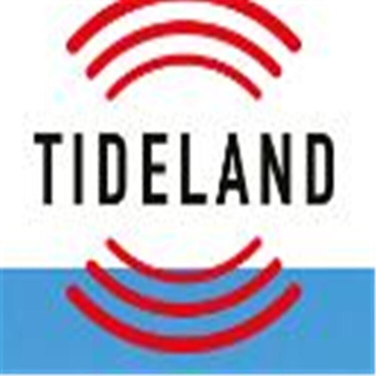 Tideland障碍灯报警板 530.8036-20