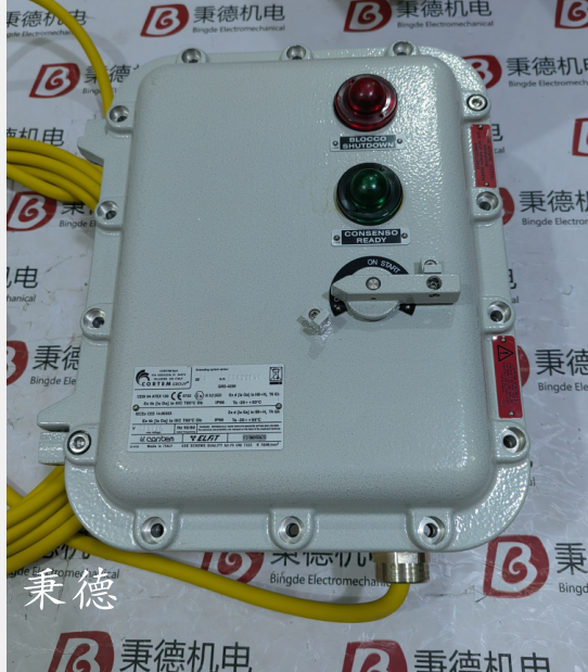 德國CORTEM防爆電子接地裝置GRD-4200