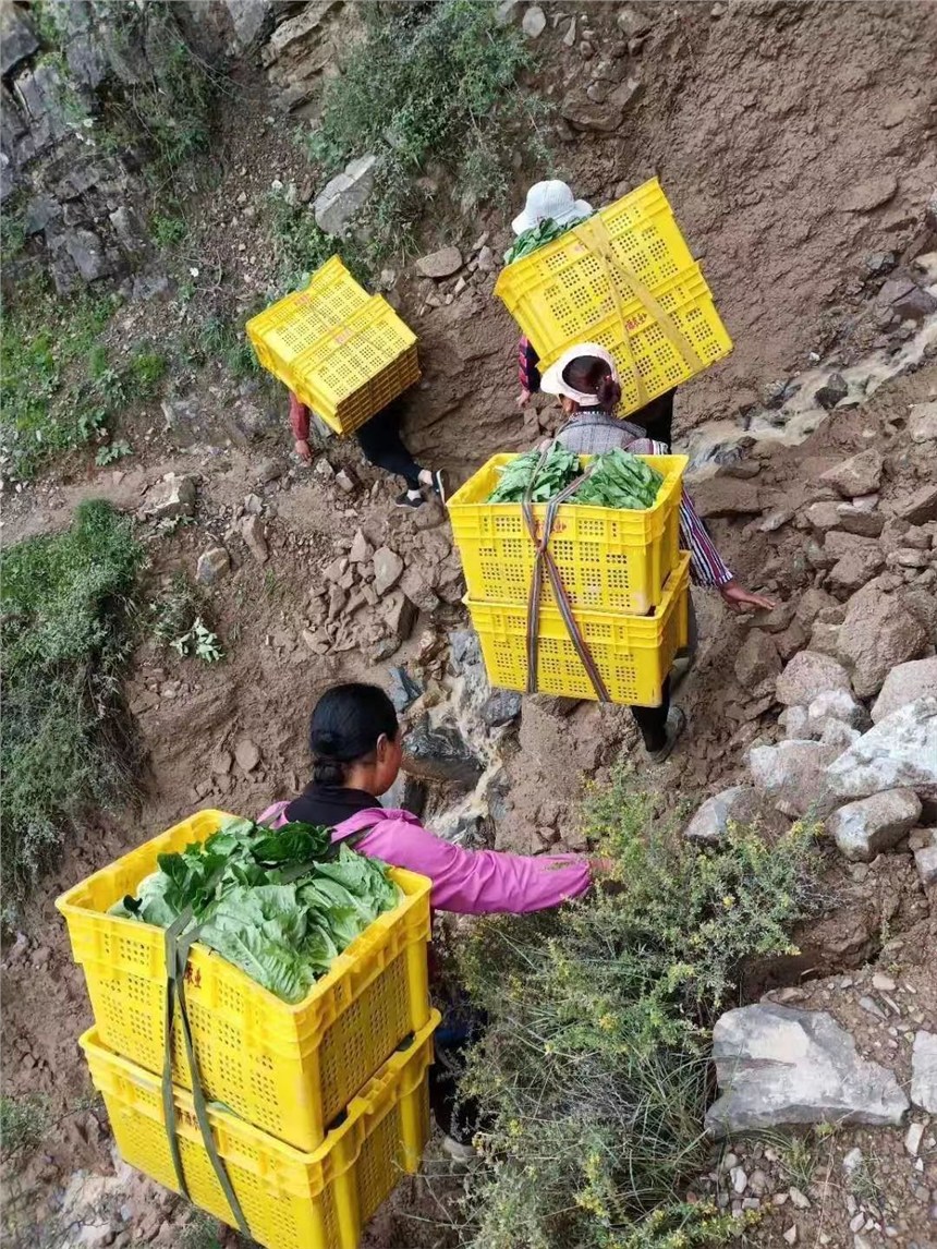 广西南宁乔丰塑料周转筐/南宁塑料周转箩批发