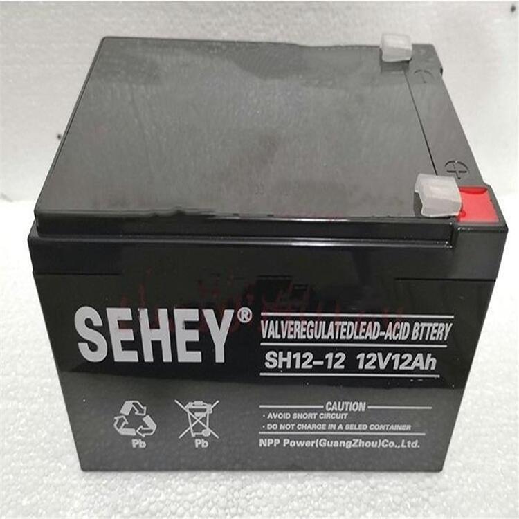  SEHEY西力SH12-12 12V12AH蓄电池仪器仪表控制电源