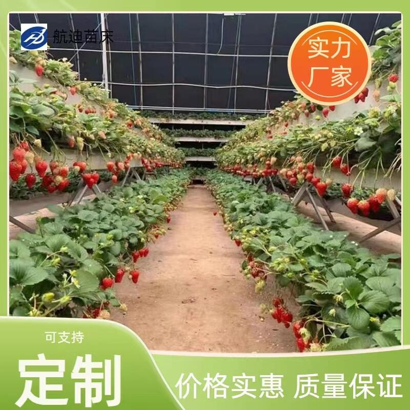 环保立体四层七槽种植架 草莓蔬菜A字种植槽加工