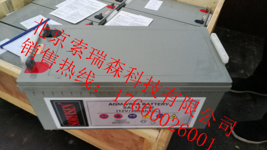 廠家銷售代理商索瑞森蓄電池SAL12V100AH 鉛酸蓄電池 原裝正品