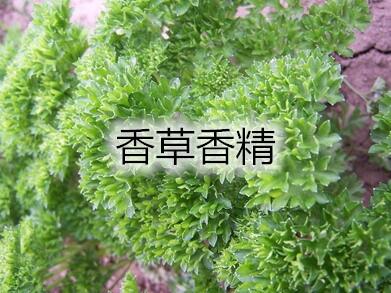 香草鞋底鞋垫遮味香精 工业香精