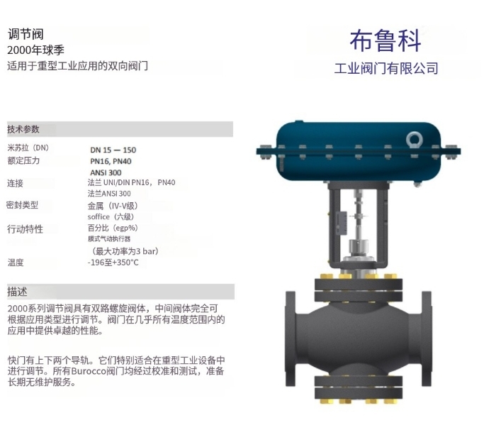 Burocco 2000 系列适用于重型工业应用的双向阀门意大利原厂