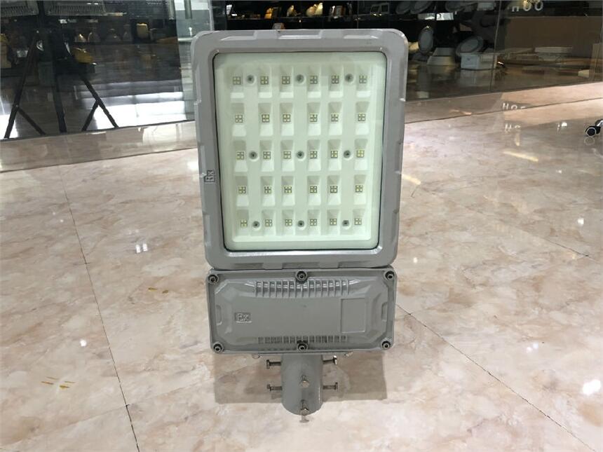 DOD816 LED防爆路灯（大款）150W 180W 200W 210W 240W