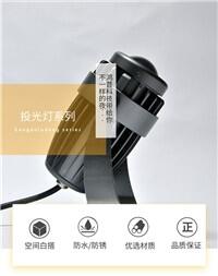 led投光灯户外室内广告招牌灯10W30W50W天棚车间庭院防水投射灯