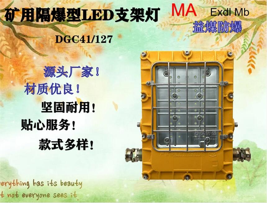 DGC41/127矿用隔爆型LED支架灯厂家优质材料用心制造