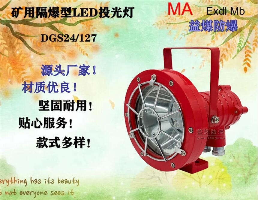 DGS24/127隔爆型LED投光灯优质材质用心制造