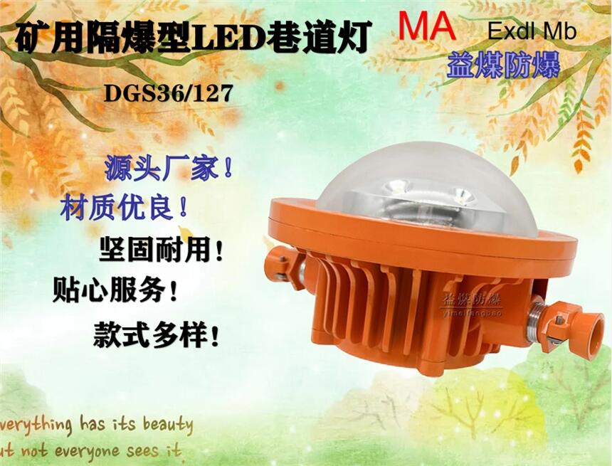 DGS36/127L(A)矿用隔爆型LED巷道灯优质材料用心制造