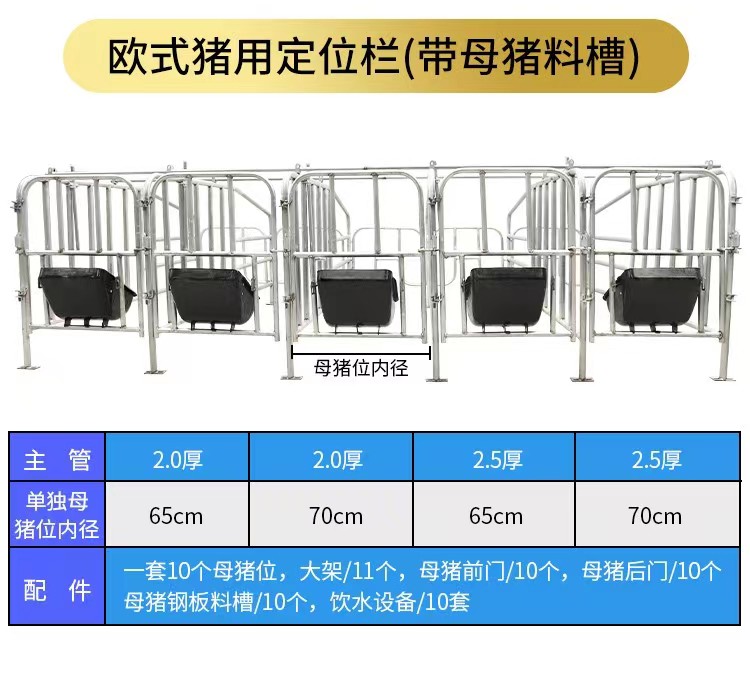 母猪限位栏定位栏养殖专用