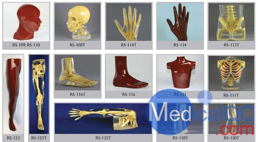 美国RSD人体部分模体，RSD RS-114T手臂模体,RSD RS-123T腿部模体