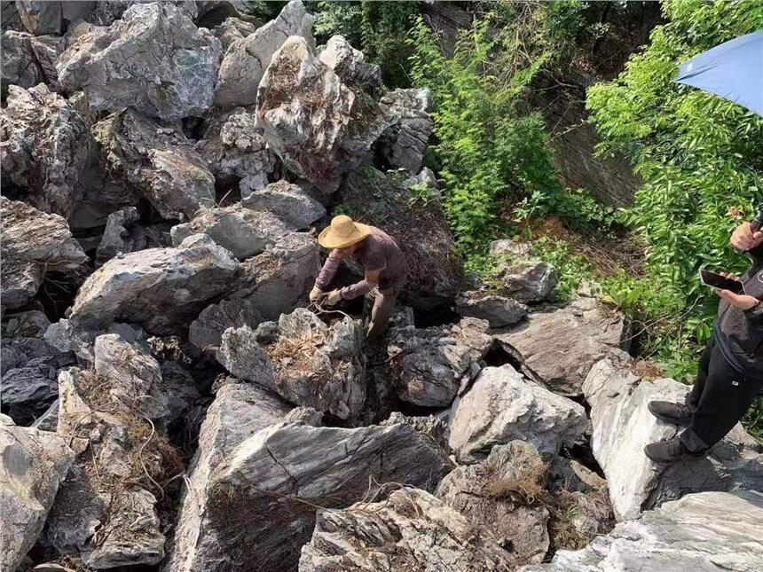 晨耀奇石大英石 假山制作、驳岸、草坪点缀 英石厂家批发