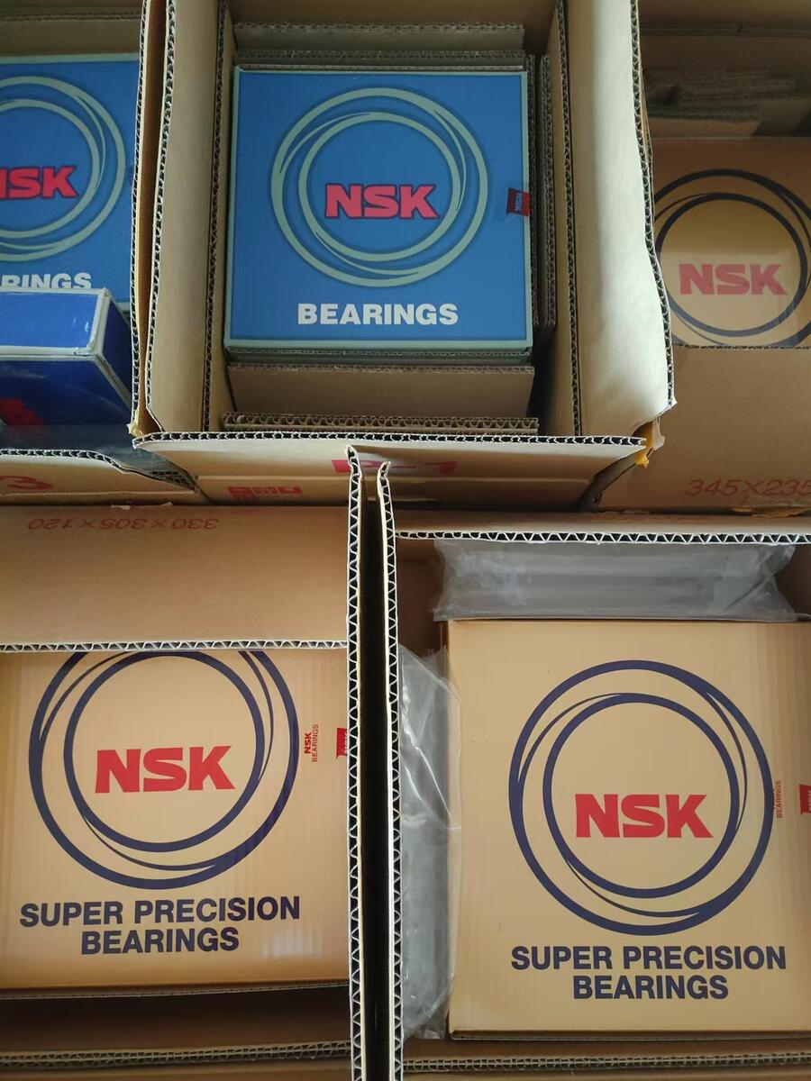 NSK 6206 INA