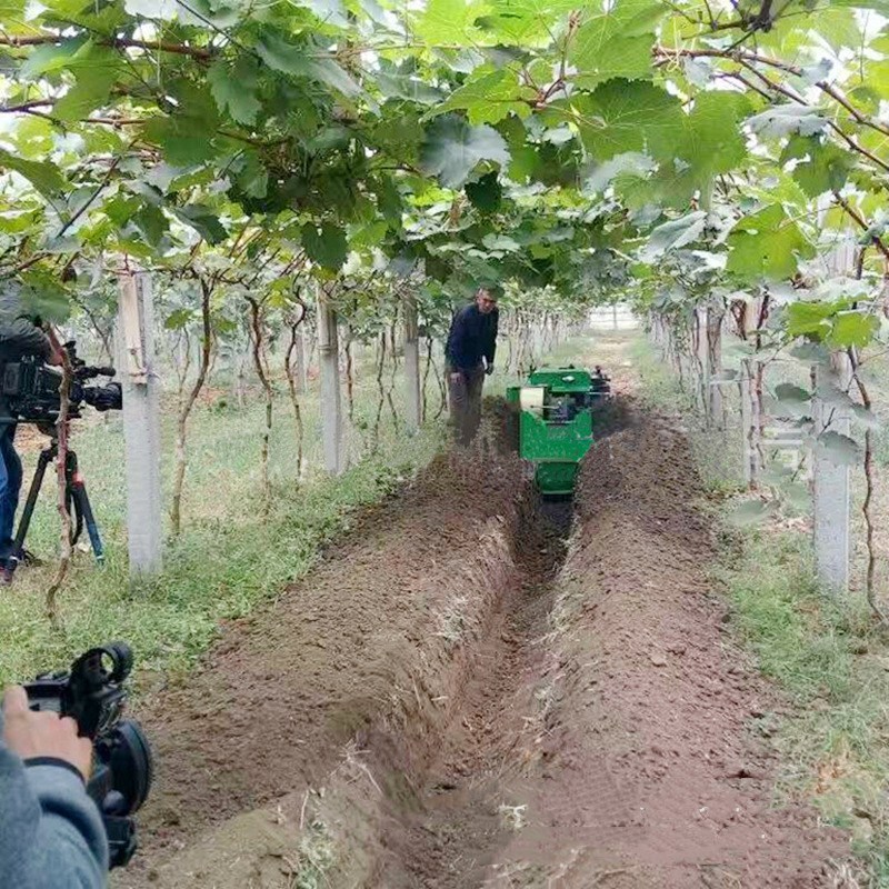 大型果园用履带式开沟机 自走式履带开沟回填一体机 果园用开沟施肥机